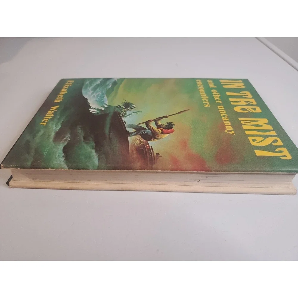 In the Mist and Other Uncanny Encounters by Elizabeth Walter (1979, Hardcover)